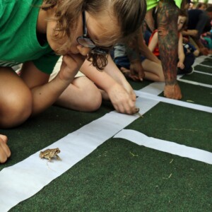 AMPEZZAN/Arkansas Public Media - Addison Choate of Conway, 10, contemplates her strategy ahead of the short toad race at Toad Suck Daze May 4, 2018.
